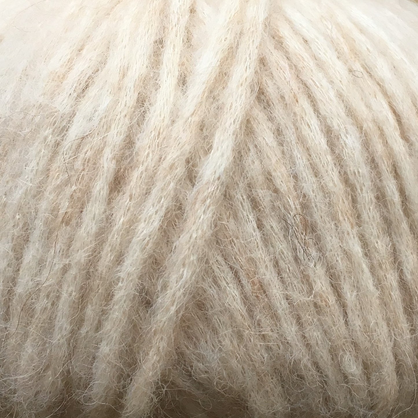 CaMaRose - SNEFNUG